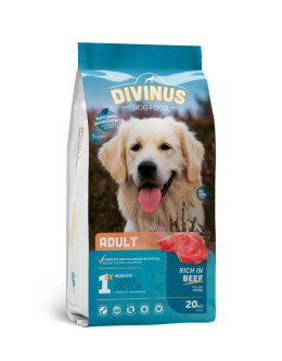 Divinus Adult dla psów dorosłych 20kg