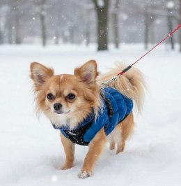 Grande Finale Kurtka granatowa ze stójką rozmiar 0 [U17]