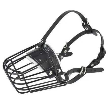 Champion Kaganiec metalowy fizjologiczny FIZ-2 (31/12)