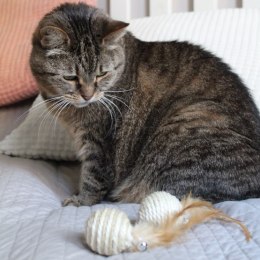 Dingo Piłki sizalowe 2szt