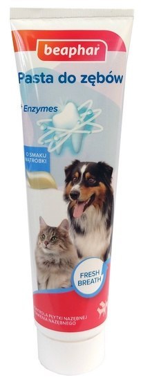 Beaphar Pasta do zębów o smaku mięsa dla psa i kota 100ml