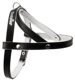 Champion Szelki 50 czarne [SD]