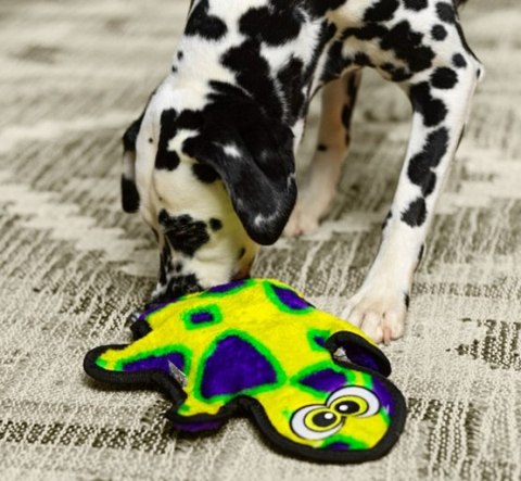 Outward Hound Invincibles Gecko green 2 piszczałki [32070]