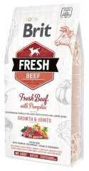 Brit Fresh Dog Puppy Large Beef & Pumpkin 2,5kg