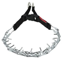 Champion Kolczatka [1T]