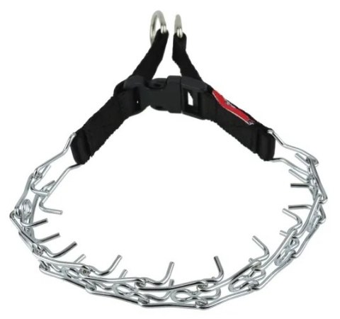 Champion Kolczatka [1T]