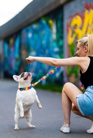 Matteo Smycz Prosta 30mm piksele