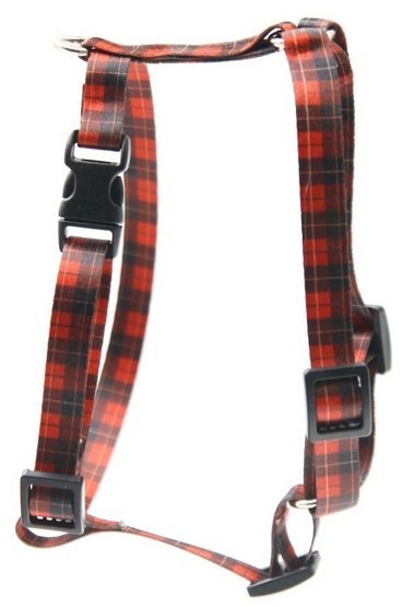 Matteo Szelki Guard 25mm szkocka krata