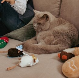 Dingo Zabawka dla kota - Mysz Angelo 1szt