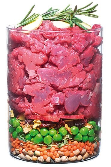 Carnilove Dog True Fresh Beef Adult - wołowina 11,4kg