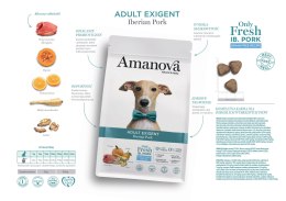 Amanova Dog Adult Exigent Iberian Pork - wieprzowina 10kg