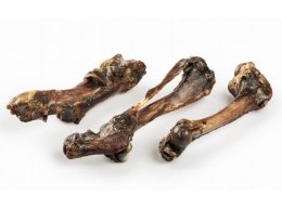 Balto Kość dzika 1szt