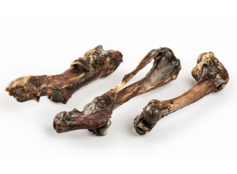 Balto Kość dzika 1szt