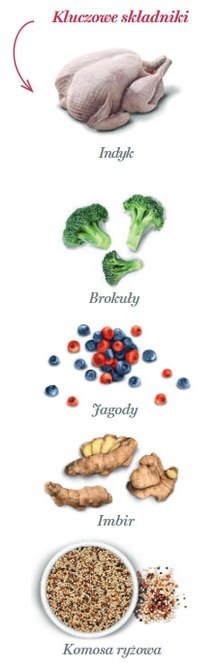 Amanova Dog Adult Mini Obesity Turkey Delight - indyk 800g