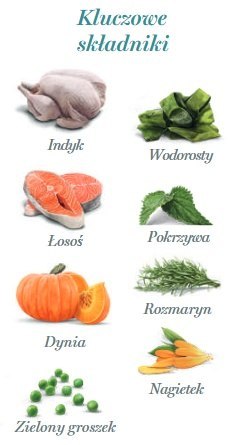 Amanova Dog Adult Tasty Salmon & Turkey - łosoś i indyk saszetka 100g [P06]