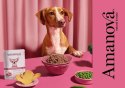 Amanova Dog Adult Tasty Salmon & Turkey - łosoś i indyk saszetka 100g [P06]