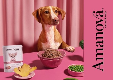 Amanova Dog Adult Tasty Salmon & Turkey - łosoś i indyk saszetka 100g [P06]