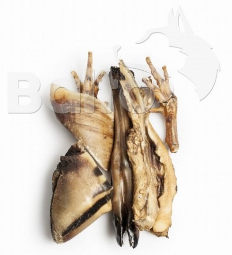 Balto Zestaw gryzaków na każdą kieszeń 7szt