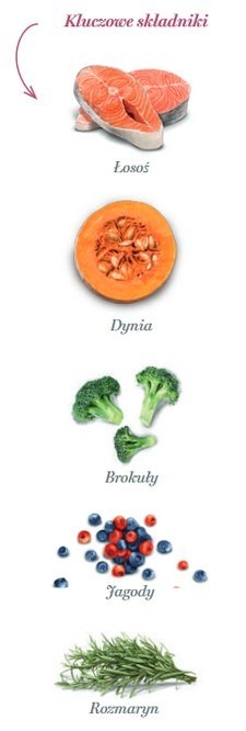 Amanova Dog Adult Mini Sensitive Salmon Deluxe - łosoś 7kg