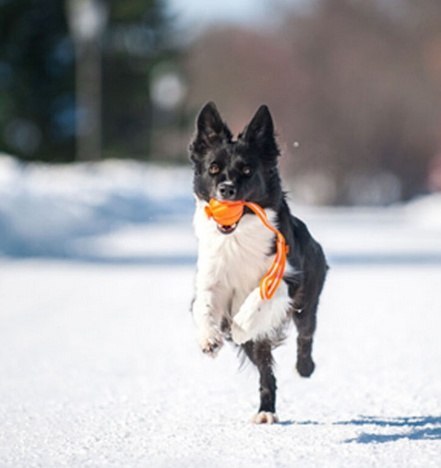 Collar Liker7 Line o średnicy 7cm