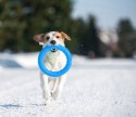 Collar PitchDog20 Pierścień do aportowania 20cm niebieski