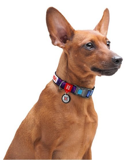 Collar WauDog Nylon Obroża nylonowa z QR-paszportem, plastikowy fastex, wzór NASA, 20mm/28-40cm