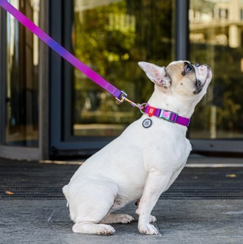 Collar WauDog Recycled Obroża nylonowa z QR-paszportem, gradient L 25mm/33-49cm fioletowy