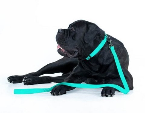 Collar WauDog Waterproof Obroża wodoodporna z QR-paszportem, akumulująca światło, plastikowy fastex, 25mm/34-49cm