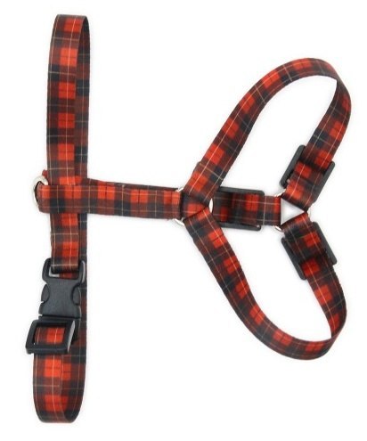 Matteo Szelki Guard 15mm szkocka krata