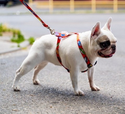 Matteo Szelki Guard 20mm graffiti czerwone