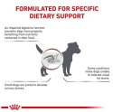Royal Canin Veterinary Diet Canine Gastrointestinal Low Fat Small 3,5kg