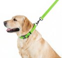 Collar Waterproof Smycz wodoodporna L-XXL 25mm/183cm jasnozielona