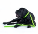Collar Waterproof Smycz wodoodporna L-XXL 25mm/183cm jasnozielona