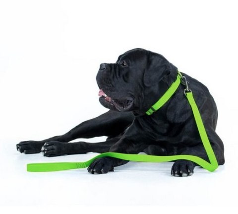Collar Waterproof Smycz wodoodporna L-XXL 25mm/183cm jasnozielona