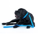 Collar Waterproof Smycz wodoodporna L-XXL 25mm/183cm niebieska