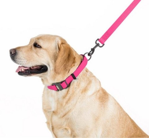 Collar Waterproof Smycz wodoodporna S 15mm/183cm różowa