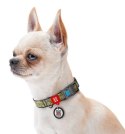 Collar WauDog Nylon Obroża nylonowa z QR-paszportem, plastikowy fastex, wzór MILITARY, L 25mm/33-49cm