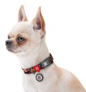 Collar WauDog Nylon Obroża nylonowa z QR-paszportem, plastikowy fastex, wzór ZĘBATE POTWORY, M 20mm/28-40cm