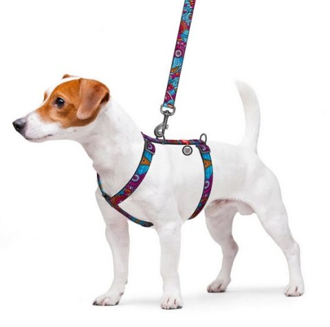 Collar WauDog Nylon Szelki nylonowe anatomiczne w kształcie litery H, z QR-paszportem, plastikowy fastex, wzór LATO, rozmiar S 1