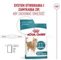 Royal Canin Ageing +11 Sterilised karma sucha dla kotów dojrzałych, sterylizowanych 4kg