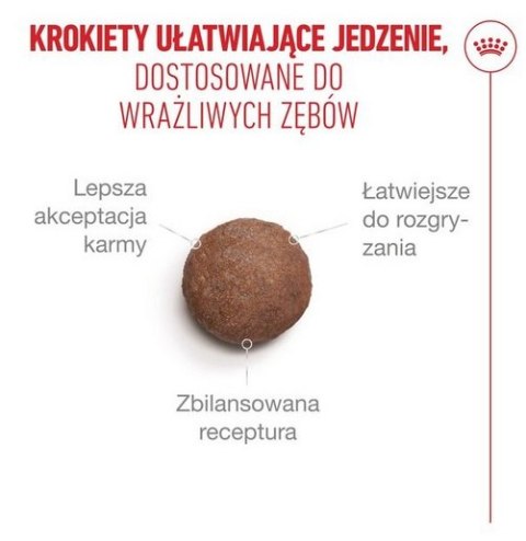 Royal Canin Ageing +15 karma sucha dla kotów dojrzałych 4kg