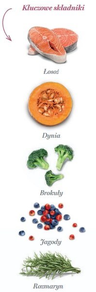 Amanova Dog Puppy Sensitive Salmon Deluxe - łosoś 7kg