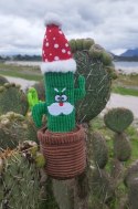 Dingo Zabawka dla psa - Kaktus Carlos 34cm
