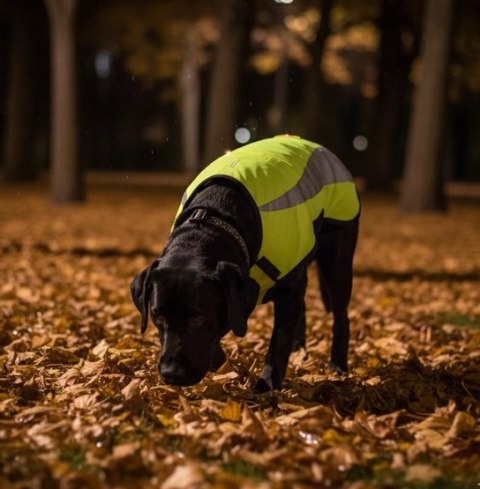 Zolux Kamizelka odblaskowa R.55 żółta