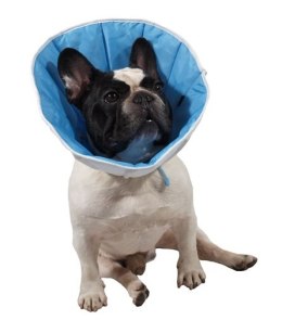 Grande Finale Kołnierz pozabiegowy z tkaniny rozmiar 1,5 niebieski [WET/KT/1,5(S/M)]